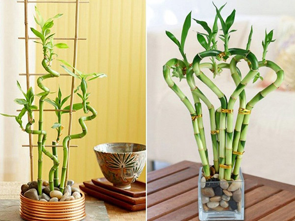 tat-tan-tat-ve-phong-thuy-phong-khach-14